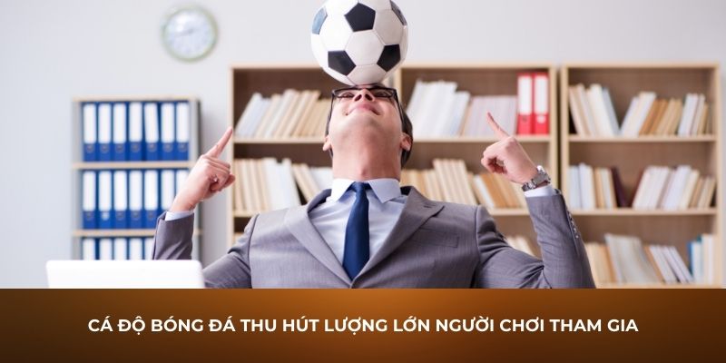 Cá độ bóng đá thu hút lượng lớn người chơi tham gia