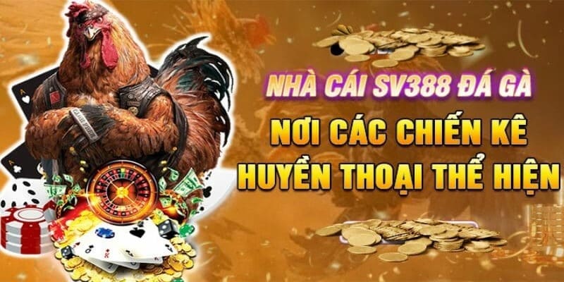 Hướng dẫn các thao tác mua vé cược hiệu quả tại sảnh chơi đá gà SV388